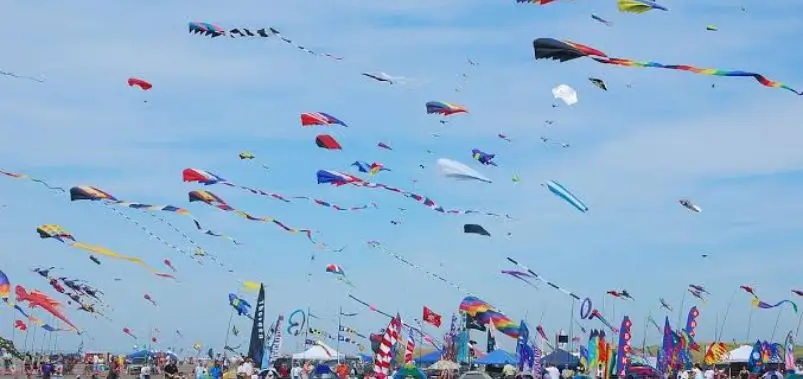 makar sankranti (1)